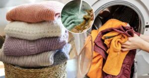 نکات طلایی شستشو و نگهداری لباس پشمی